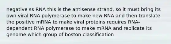 negative ss RNA this is the antisense strand, so it must bring its own viral RNA polymerase to make new RNA and then translate the positive mRNA to make viral proteins requires RNA-dependent RNA polymerase to make mRNA and replicate its genome which group of boston classification