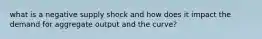 what is a negative supply shock and how does it impact the demand for aggregate output and the curve?