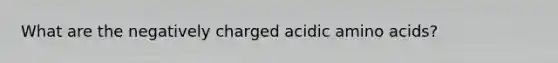 What are the negatively charged acidic amino acids?