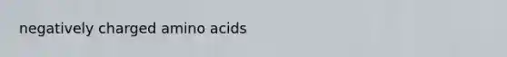 negatively charged amino acids