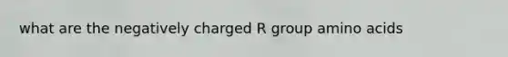 what are the negatively charged R group amino acids