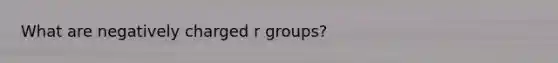 What are negatively charged r groups?