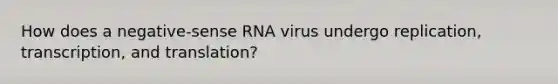 How does a negative-sense RNA virus undergo replication, transcription, and translation?