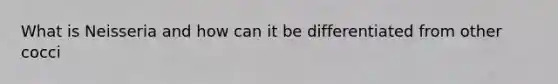 What is Neisseria and how can it be differentiated from other cocci