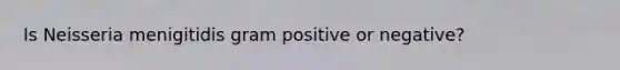 Is Neisseria menigitidis gram positive or negative?