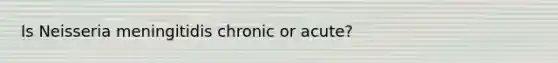 Is Neisseria meningitidis chronic or acute?