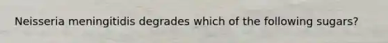 Neisseria meningitidis degrades which of the following sugars?