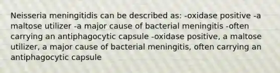 Neisseria meningitidis can be described as: -oxidase positive -a maltose utilizer -a major cause of bacterial meningitis -often carrying an antiphagocytic capsule -oxidase positive, a maltose utilizer, a major cause of bacterial meningitis, often carrying an antiphagocytic capsule