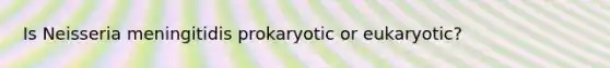 Is Neisseria meningitidis prokaryotic or eukaryotic?