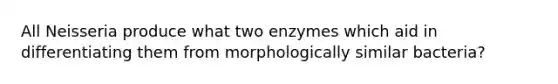 All Neisseria produce what two enzymes which aid in differentiating them from morphologically similar bacteria?