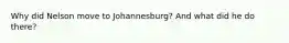 Why did Nelson move to Johannesburg? And what did he do there?