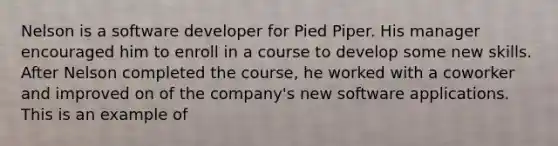 Nelson is a software developer for Pied Piper. His manager encouraged him to enroll in a course to develop some new skills. After Nelson completed the course, he worked with a coworker and improved on of the company's new software applications. This is an example of