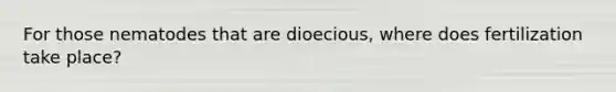 For those nematodes that are dioecious, where does fertilization take place?