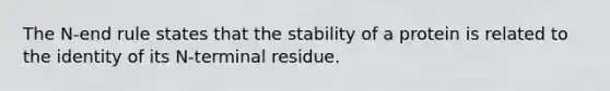 The N-end rule states that the stability of a protein is related to the identity of its N-terminal residue.