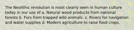 The Neolithic revolution is most clearly seen in human culture today in our use of a. Natural wood products from national forests b. Furs from trapped wild animals. c. Rivers for navigation and water supplies d. Modern agriculture to raise food crops.