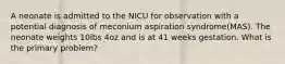 A neonate is admitted to the NICU for observation with a potential diagnosis of meconium aspiration syndrome(MAS). The neonate weights 10lbs 4oz and is at 41 weeks gestation. What is the primary problem?