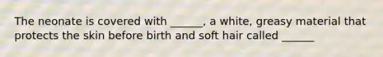 The neonate is covered with ______, a white, greasy material that protects the skin before birth and soft hair called ______