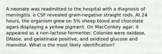 A neonate was readmitted to the hospital with a diagnosis of meningitis. e CSF revealed gram-negative straight rods. At 24 hours, the organism grew on 5% sheep blood and chocolate agars displaying a yellow pigment. On MacConkey agar, it appeared as a non-lactose fermenter. Colonies were oxidase, DNase, and gelatinase positive, and oxidized glucose and mannitol. What is the most likely identification?