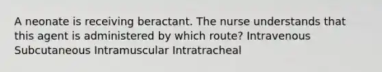 A neonate is receiving beractant. The nurse understands that this agent is administered by which route? Intravenous Subcutaneous Intramuscular Intratracheal