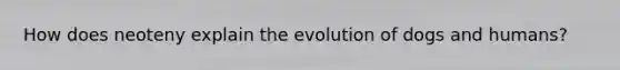 How does neoteny explain the evolution of dogs and humans?