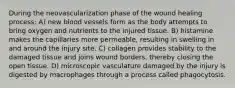 During the neovascularization phase of the wound healing process: A) new blood vessels form as the body attempts to bring oxygen and nutrients to the injured tissue. B) histamine makes the capillaries more permeable, resulting in swelling in and around the injury site. C) collagen provides stability to the damaged tissue and joins wound borders, thereby closing the open tissue. D) microscopic vasculature damaged by the injury is digested by macrophages through a process called phagocytosis.