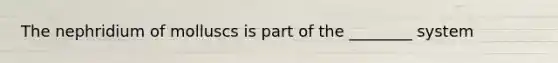 The nephridium of molluscs is part of the ________ system