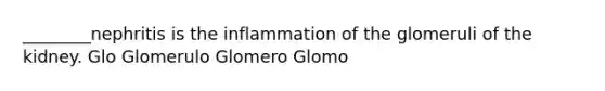 ________nephritis is the inflammation of the glomeruli of the kidney. Glo Glomerulo Glomero Glomo