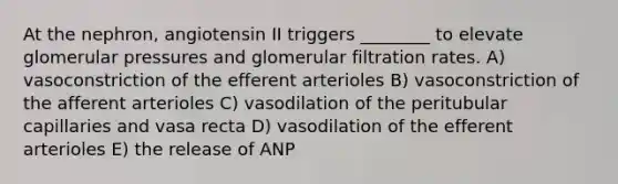 At the nephron, angiotensin II triggers ________ to elevate glomerular pressures and glomerular filtration rates. A) vasoconstriction of the efferent arterioles B) vasoconstriction of the afferent arterioles C) vasodilation of the peritubular capillaries and vasa recta D) vasodilation of the efferent arterioles E) the release of ANP