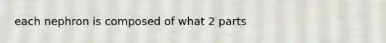 each nephron is composed of what 2 parts