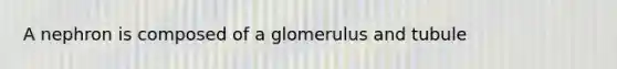 A nephron is composed of a glomerulus and tubule