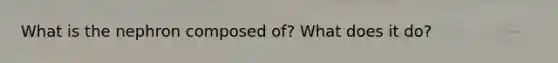 What is the nephron composed of? What does it do?