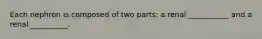 Each nephron is composed of two parts: a renal ___________ and a renal __________.