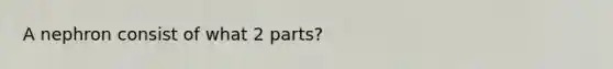 A nephron consist of what 2 parts?