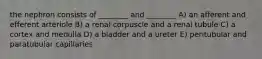 the nephron consists of ________ and ________ A) an afferent and efferent arteriole B) a renal corpuscle and a renal tubule C) a cortex and medulla D) a bladder and a ureter E) peritubular and paratubular capillaries