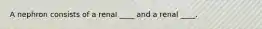 A nephron consists of a renal ____ and a renal ____.