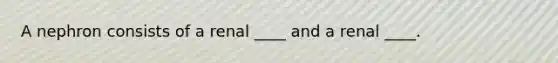 A nephron consists of a renal ____ and a renal ____.