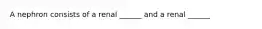 A nephron consists of a renal ______ and a renal ______