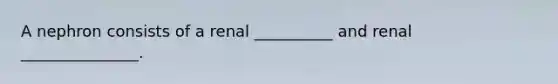 A nephron consists of a renal __________ and renal _______________.