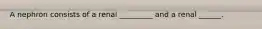 A nephron consists of a renal _________ and a renal ______.