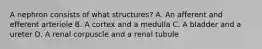 A nephron consists of what structures? A. An afferent and efferent arteriole B. A cortex and a medulla C. A bladder and a ureter D. A renal corpuscle and a renal tubule