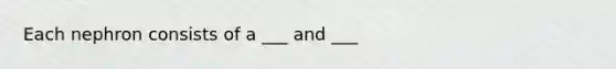 Each nephron consists of a ___ and ___