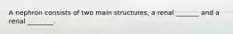 A nephron consists of two main structures, a renal _______ and a renal ________.