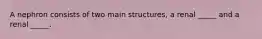 A nephron consists of two main structures, a renal _____ and a renal _____.