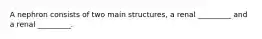 A nephron consists of two main structures, a renal _________ and a renal _________.