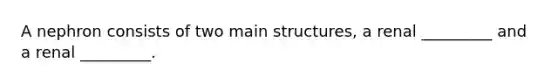 A nephron consists of two main structures, a renal _________ and a renal _________.