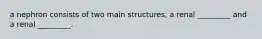 a nephron consists of two main structures, a renal _________ and a renal _________.