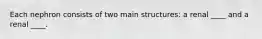 Each nephron consists of two main structures: a renal ____ and a renal ____.