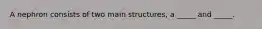 A nephron consists of two main structures, a _____ and _____.