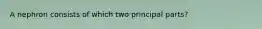 A nephron consists of which two principal parts?