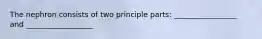 The nephron consists of two principle parts: _________________ and __________________